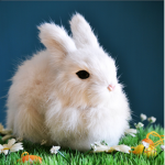 BunnyStudios:]