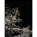 나윤이 소통방