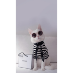 The epic cats