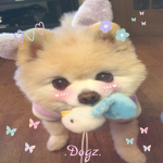 .Dogz.