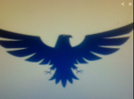 United Company Forces