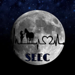 |~Solar Eclipse Equestrian Centre~|