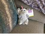 TutieFrutieQT Group