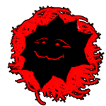 *KUNO*