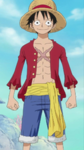 The pirates luffy Crew