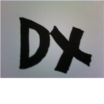 DoubleX