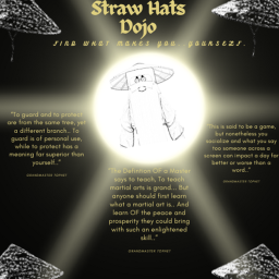 Straw Hats Dojo, Dojo