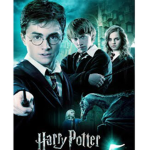 DA HARRY POTTER FAN GROUP