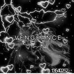 -•VENGEANCE•-