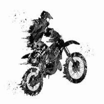 Motocross