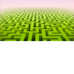 the maze