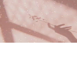 Chars butterflies