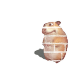Brik
