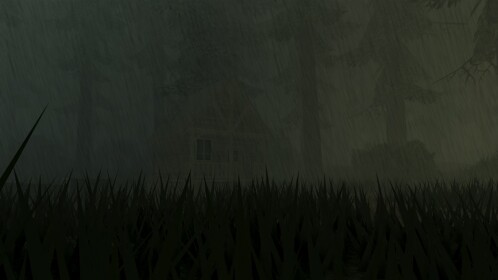 Rainy Forest