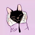 Fans de Gatitos