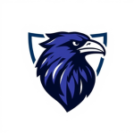 CROW Clan (Touch Football)