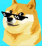 Doge's in two groups