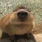 jetsadaandfriend