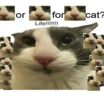 a̶n̶g̶3̶l̶s̶