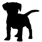 PIINKO