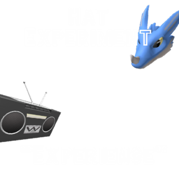 Hat Experiment "Experience" 