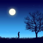 Moonlight Dreams