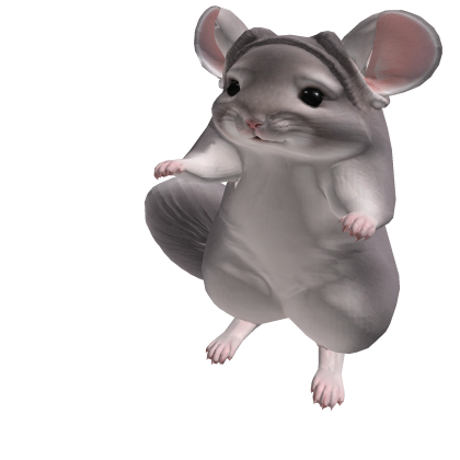 Chinchilla Pet Roblox item