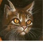 Shadowclan from Warriors Roleplay
