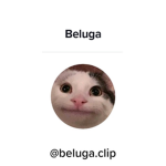you need robux join me