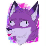 DudeFox Play'Z Fan Club