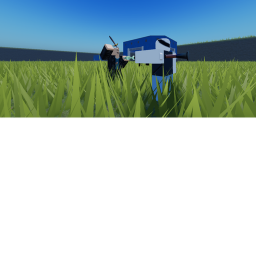 Capture The Flag