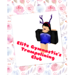 Elite Gymnastic's Trampolining Club