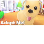 -*+Adopt me+*-