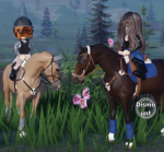 Sunset Stables Lesson Program
