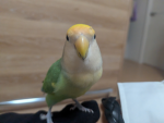 ジェネ太郎のグループ？