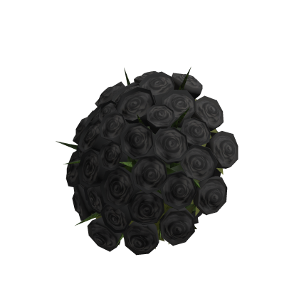 Big Black Roses Bouquet on Hand