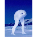 ningen group