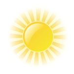 Sunny sunshine group!