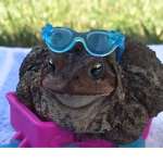 deep fried rat