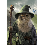 MagicAcademy