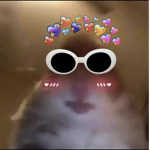 AsiaWGFg