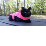 Im better than you!