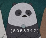 PandaLoverzdoesgiveaways