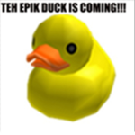 Real Duck Community