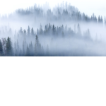 ||~ mist’clan ~||