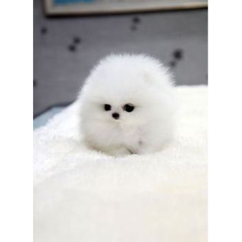 My neighboor hood❤