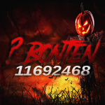 彡 Bonten