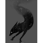 Our_pack