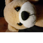 Preston_fx