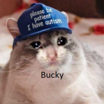 Bucket Riegion [BR]